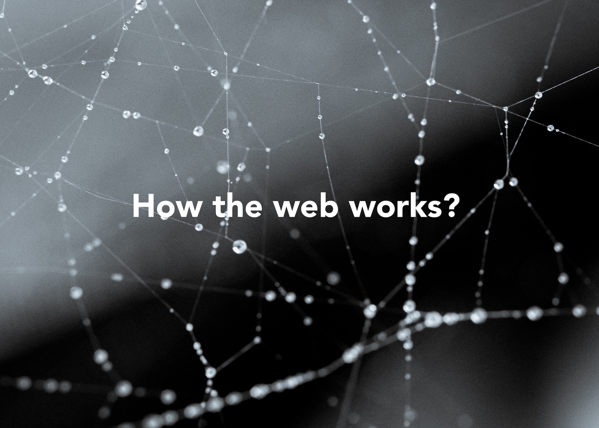 CodeSpace how the web works websites become a dev